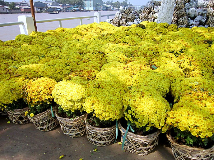 Những chậu hoa lan đã trở thành nét văn hóa truyền thống quen thuộc của người dân Việt